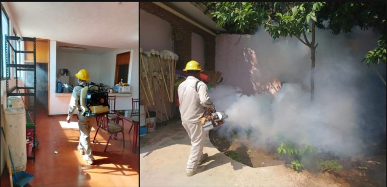 Ante incremento de los casos de Dengue, la Secretaría de Salud realiza más de 26 mil acciones