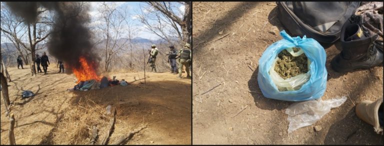 Continúan los operativos en Tierra Caliente, la SSP y la SEDENA localizan droga y equipo táctico en Tiquicheo