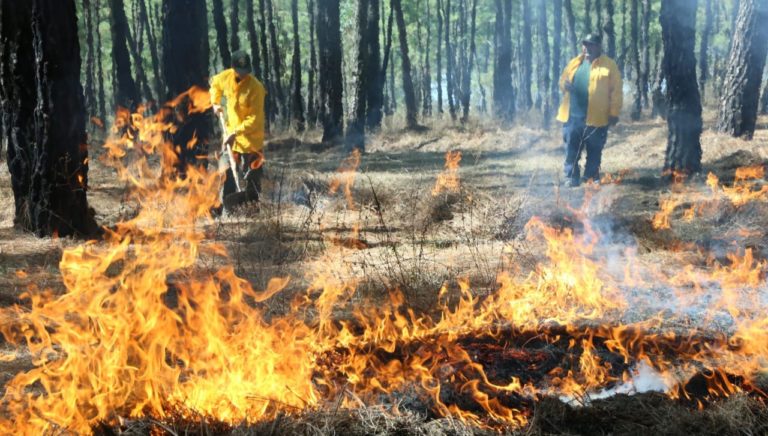 Reos en fase de preliberación refuerzan brigadas contra incendios