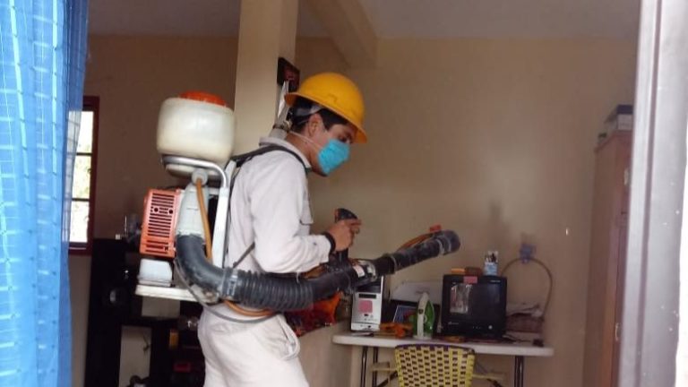 Realizan acciones vectoriales permanentes contra el dengue
