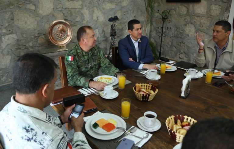 En lo que va del año, van cinco campamentos desmantelados 16 detenidos en Huetamo y Churumuco: Mesa de Coordinación para la Construcción de la Paz en Michoacán