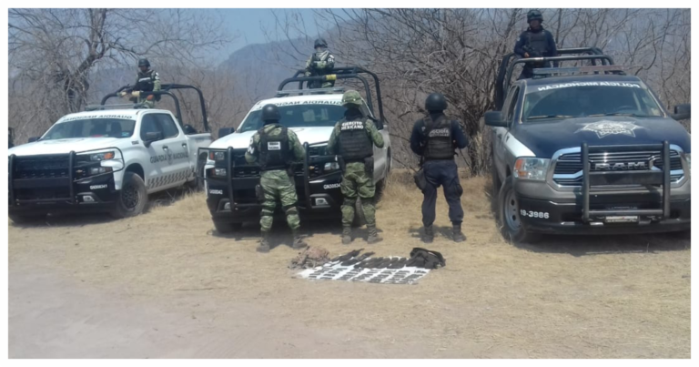 Incautan en Huetamo armas de fuego y más de 400 cartuchos útiles