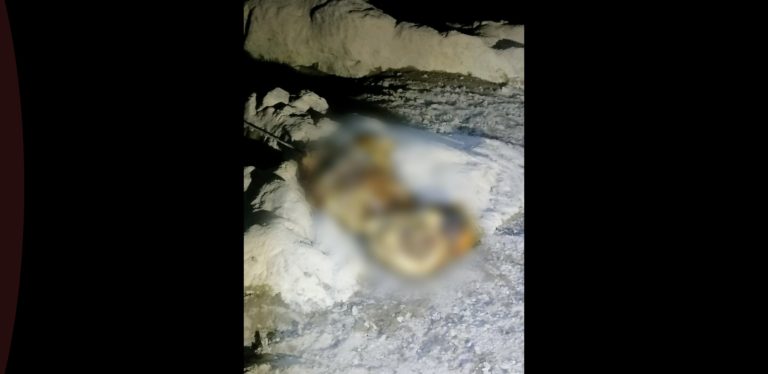 Localizan parte de un cuerpo en estado de descomposición en La Quetzería