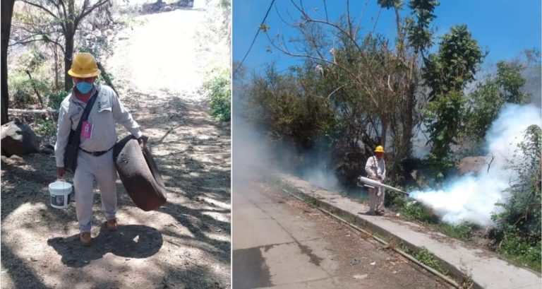 La SSM sin bajar la guardia en las acciones contra dengue, zika y chikungunya