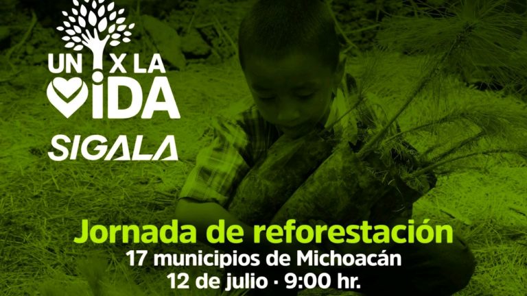 Adopta un árbol a través de la asociación Un Árbol por la Vida