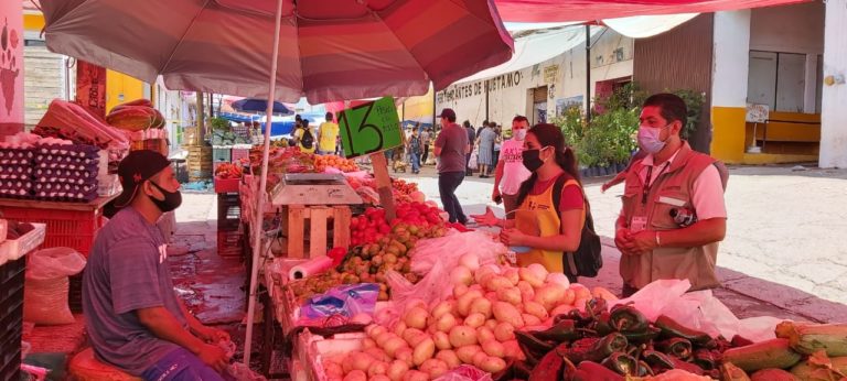 Inician las visitas de los Guardianes de la Salud en Huetamo