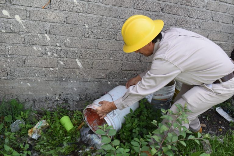 Continúan las acciones contra dengue, zika y chikungunya