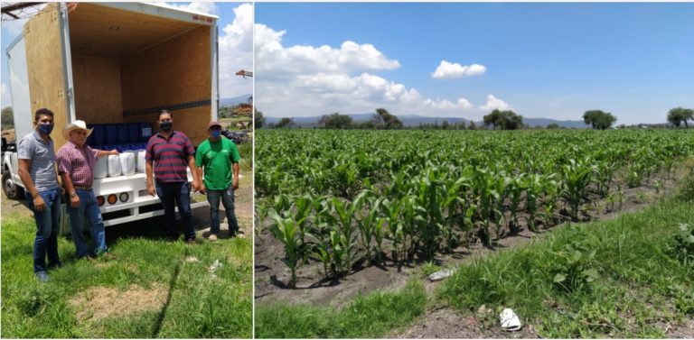Entrega la SEDRUA a productores de Huetamo, bio-insumos para Agricultura Sustentable