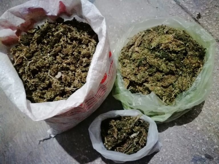 Dos personas fueron aprehendidas en Tuzantla con un kilo de marihuana