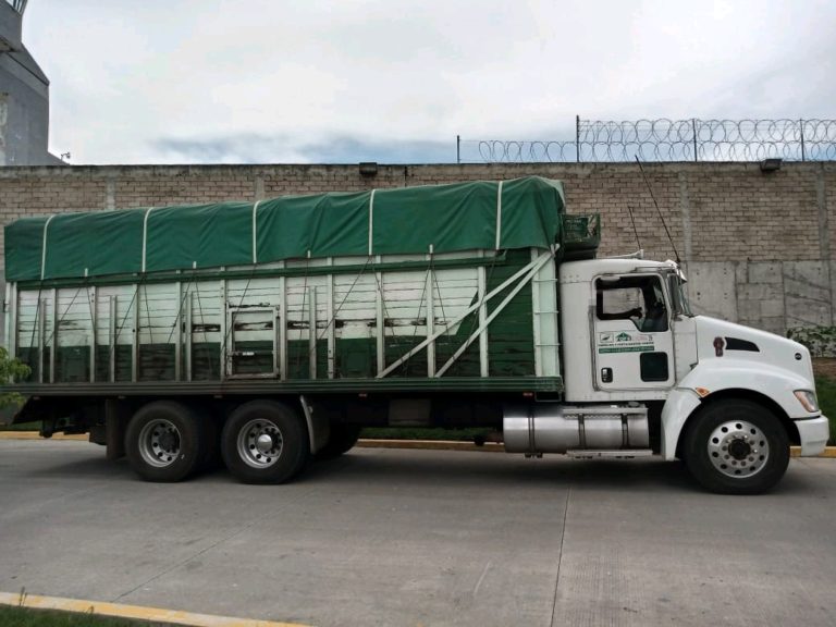 Arrestan a dos con fertilizante robado, iba hacer entregado a campesinos