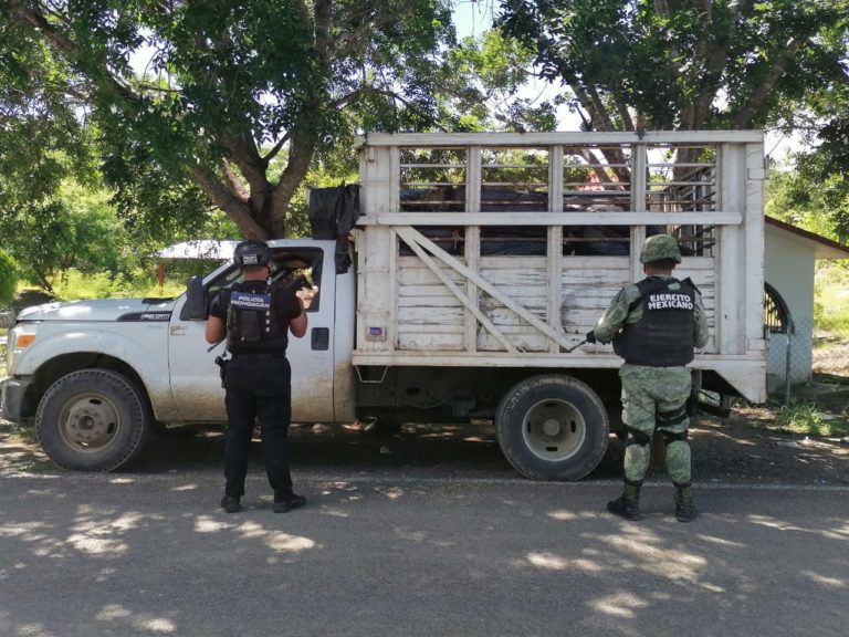 Recuperan camioneta robada en San Lucas