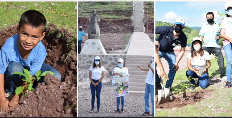 Reforestan el Parque Ecológico José María Morelos de Uspio