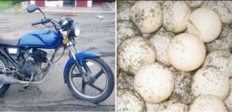 Un detenido con moto robada y 96 huevos de tortuga