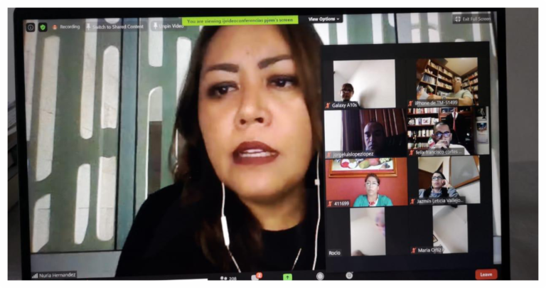 Por COVID-19 aumentó la violencia doméstica: Nuria Hernández de la Secretaría de la Mujer de Michoacán