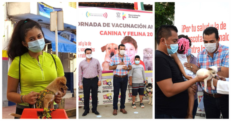 Inició la Octava Jornada de Vacunación Antirrábica Canina y Felina en Huetamo