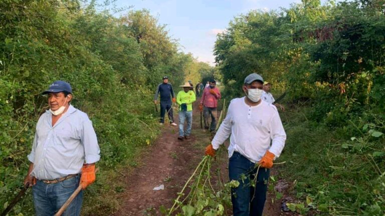 Personal del Ayuntamiento de Huetamo limpia de maleza y basura el camino a Uspio