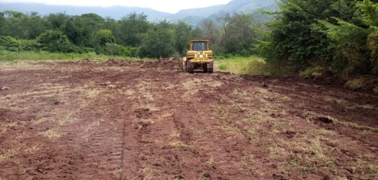 Jazmín Arroyo fortalece el campo de Tuzantla y a sus productores