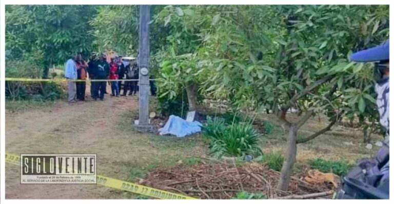 Joven se suicida colgado de un árbol