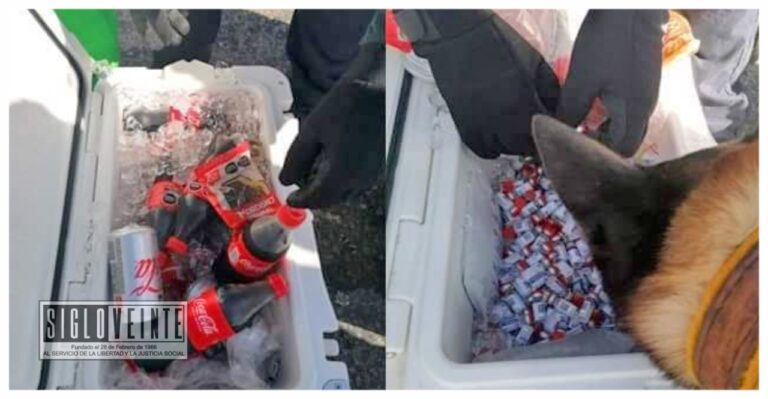 El SAT incauta 5 mil 775 vacunas anti COVID-19