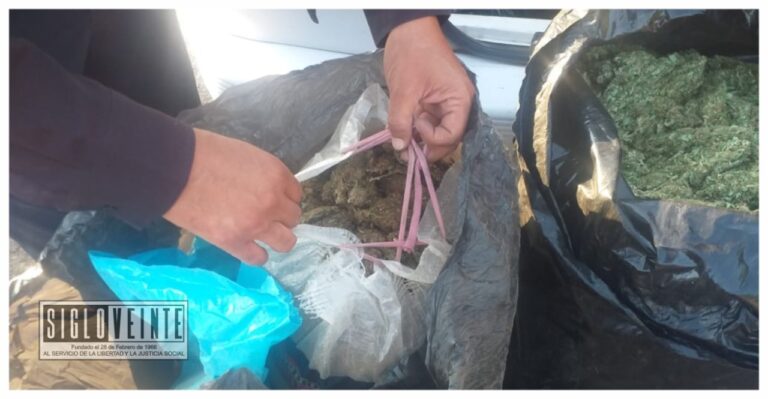 Dos personas detenidas con más de 32 kilos de marihuana