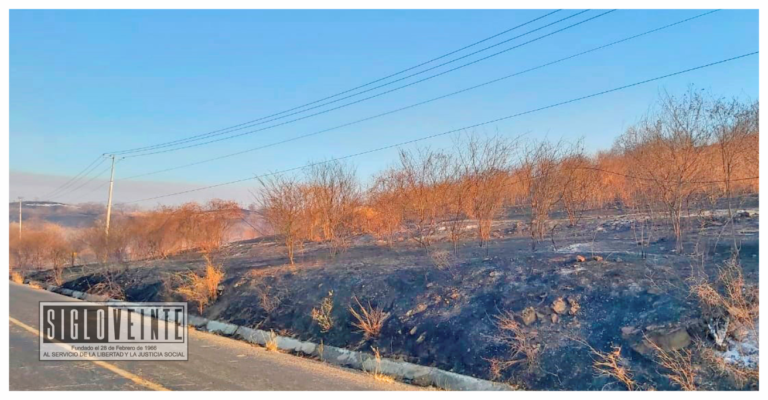 Incendios provocaron corte de señal de telefonía fija y celular en Huetamo y la región