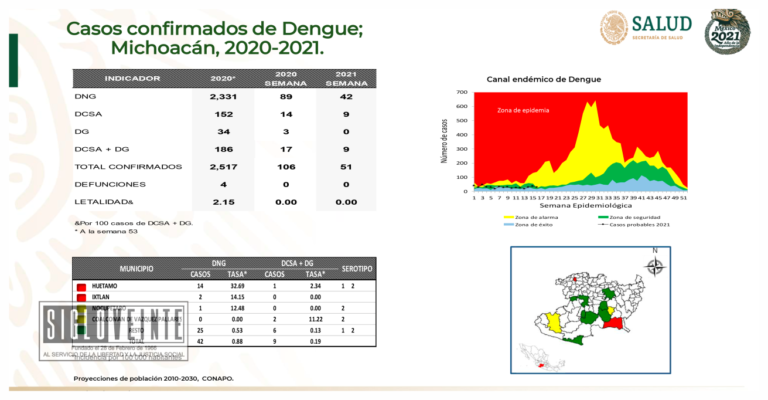 En lo que va del año, Huetamo es el municipio con mayor número de casos confirmados de dengue en Michoacán