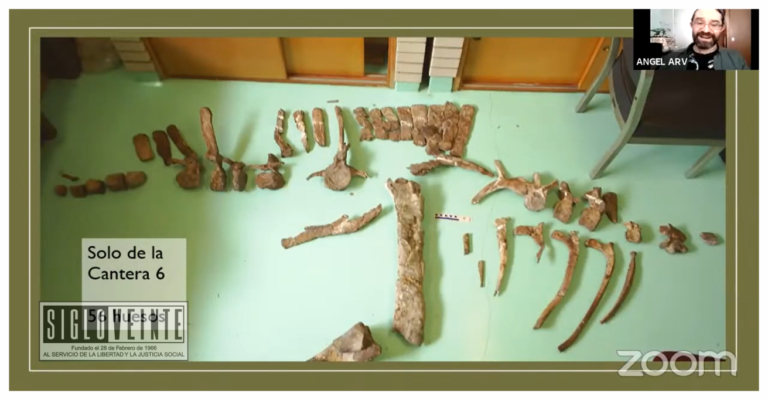 ¿Sabías que en Tiquicheo fue descubierto un dinosaurio?