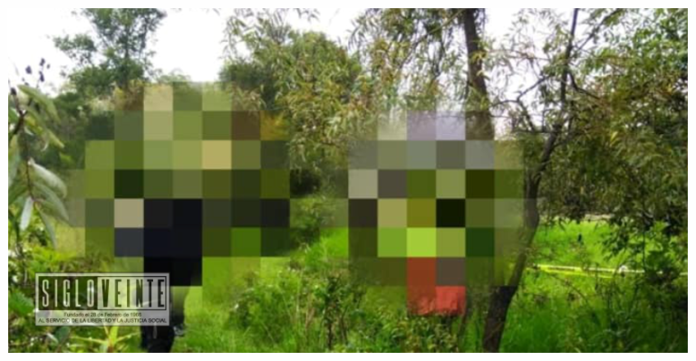 Hombre se quita la vida colgándose de un árbol