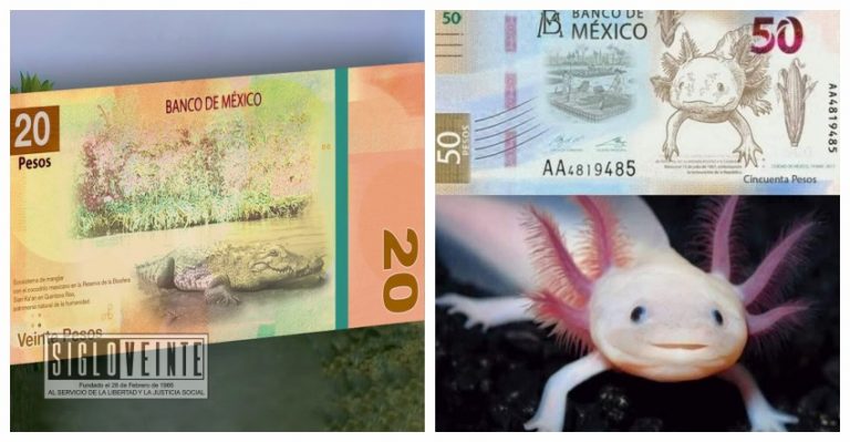 ¡Se despiden Juárez y Morelos! Así serían los nuevos billetes de 20 y 50 pesos de Banxico