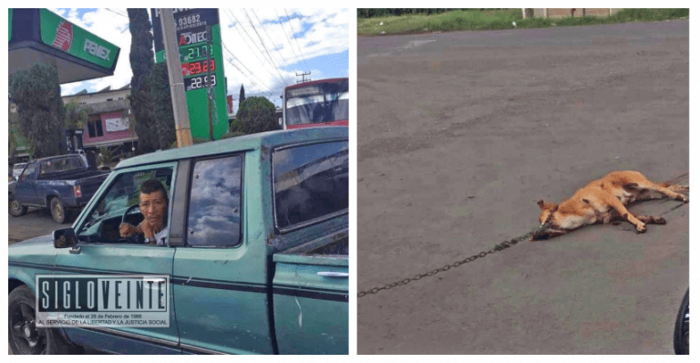 Sujeto encadenó a un perro a su camioneta y lo arrastró por la calle hasta matarlo, hechos ocurridos en Tangamandapio