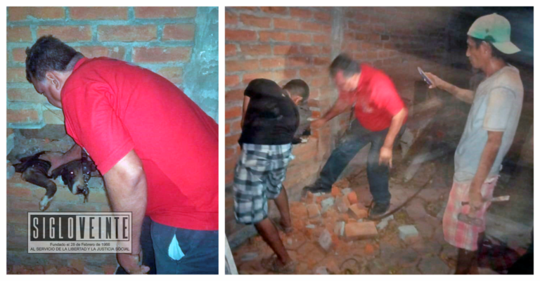 Protección Civil de Huetamo salva a perrito que quedó atrapado entre dos bardas