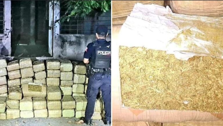 Aseguran 300 kilos de marihuana en Apatzingán