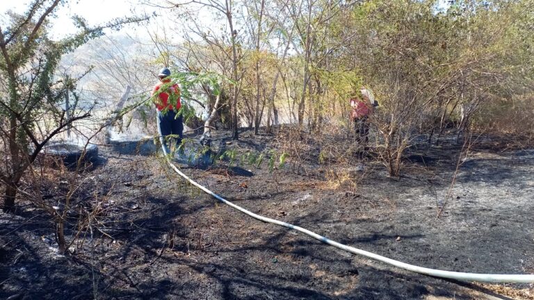 Protección Civil de Huetamo sofoca los primeros incendios forestales del año