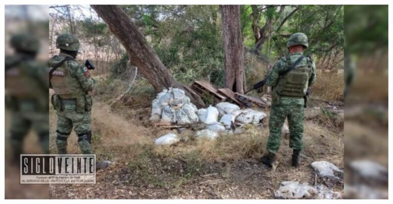 “Revienta” la SEDENA dos narco laboratorios en Turicato