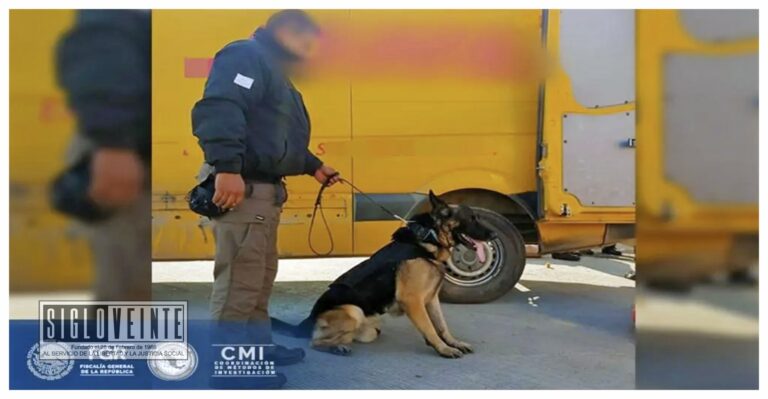 Asegura la FGR metanfetamina en empresa de paquetería de Morelia