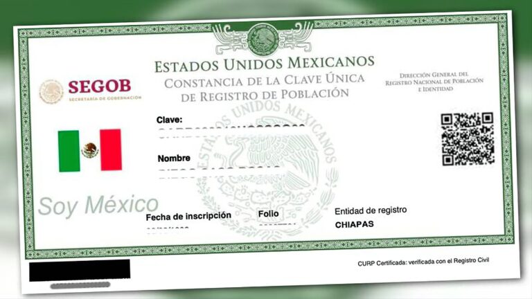 CURP Certificada: ¿Cómo tramitarla y por qué es importante?