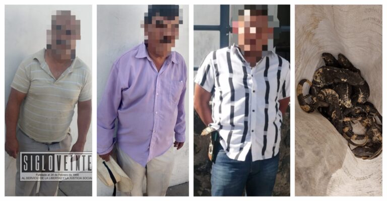 Detienen a 3 personas que pretendían vender once iguanas