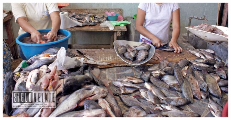 En esta temporada de cuaresma, sigue estas medidas para prevenir enfermedades gastrointestinales al ingerir pescados y mariscos