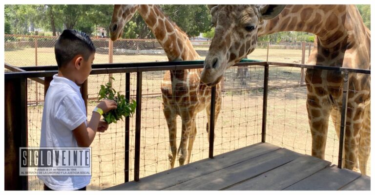 En esta Semana Santa, el Zoológico de Morelia cobrará 20 pesos para niñas y niños y 30 pesos para adultos