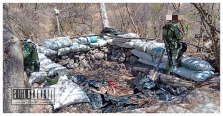 En Tierra Caliente la SSP, SEDENA y GN localizan y destruyen 5 campamentos