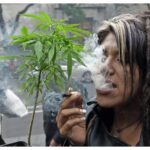Oaxaca primera ciudad que permite fumar marihuana en la vía pública