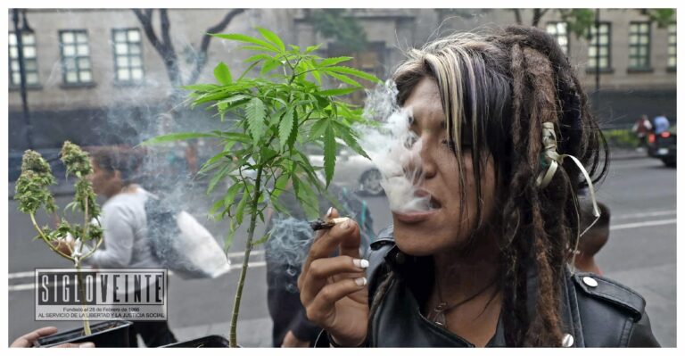 Oaxaca primera ciudad que permite fumar marihuana en la vía pública