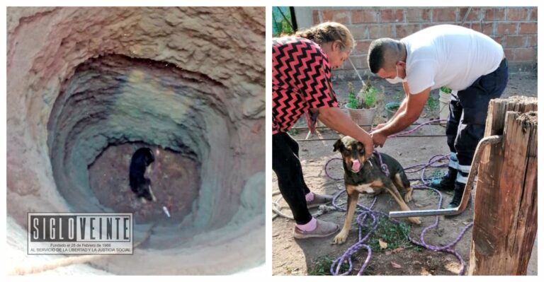 Rescata Protección Civil de Huetamo a perrito que cayó a pozo