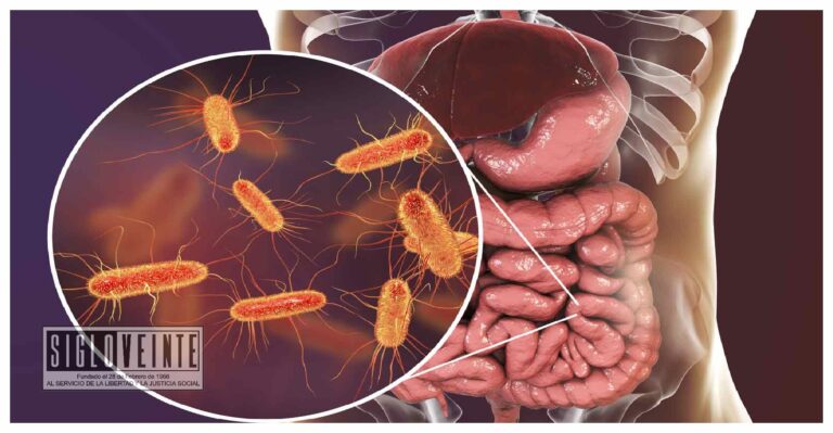 Bacterias, parásitos y virus principales padecimientos que afectan al estómago: SSM