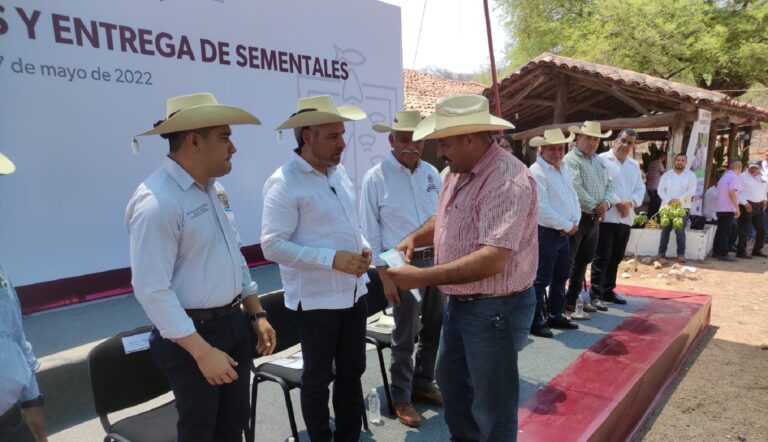 Gobierno estatal fortalece al sector ganadero de la región Huetamo con la entrega de 45 sementales bovinos