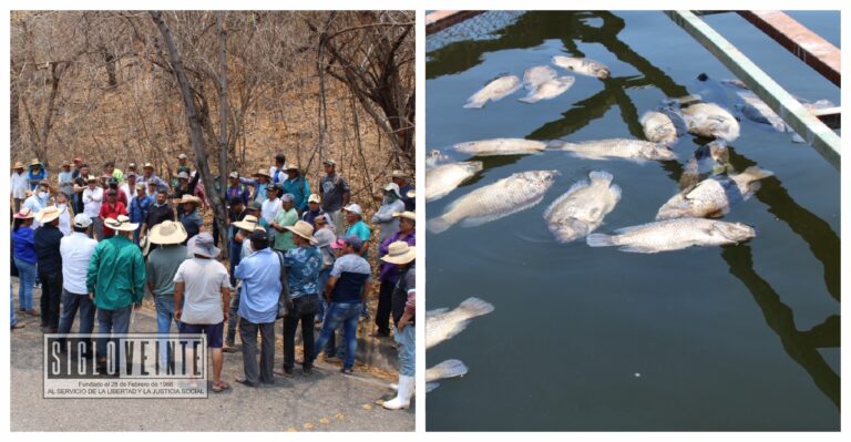 Pescadores de la Presa del Gallo de Michoacán y Guerrero exigen la salida de la empresa hidroeléctrica Mexhidro, por ellos hay mortandad de peces