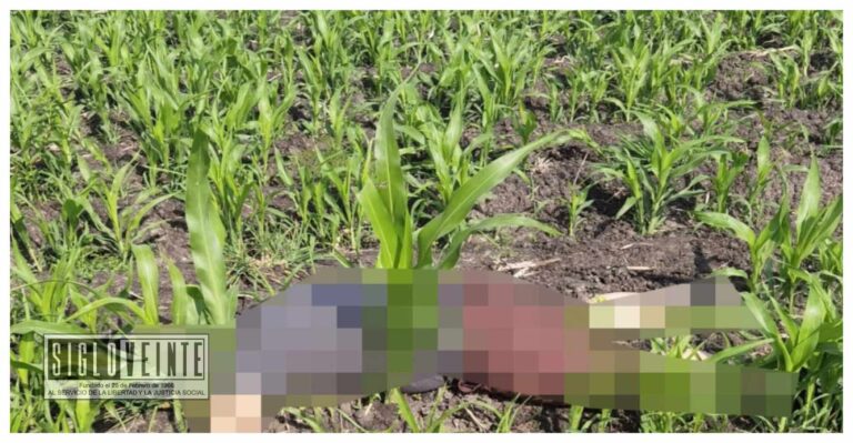 Caen “El Chimbombín” y “El Ganso” presuntos homicidas del síndico de Villa Jiménez