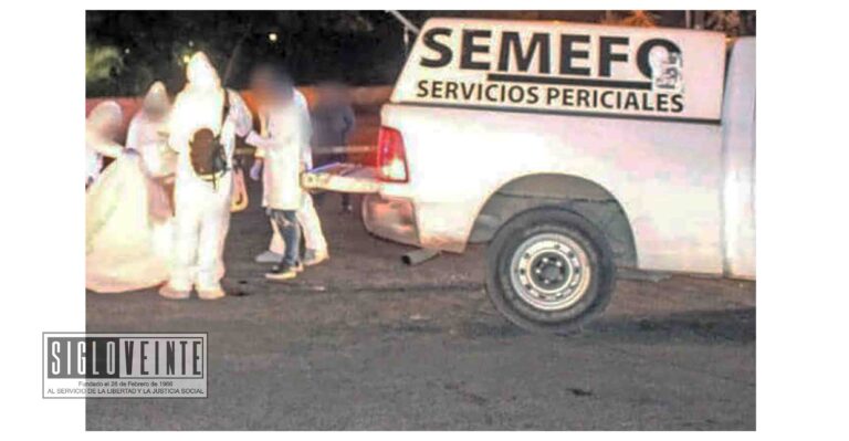 Encuentran feto de 5 a 7 meses en el área verde de un fraccionamiento de Morelia