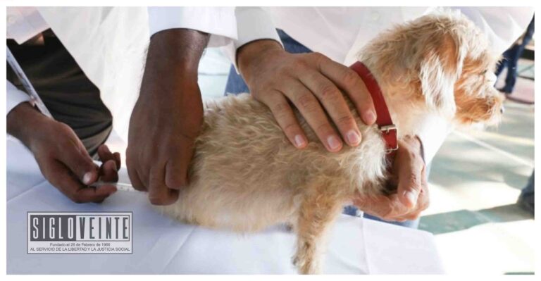 La SSM mantiene 15 puestos de vacunación antirrábica en Carácuaro y Nocupétaro