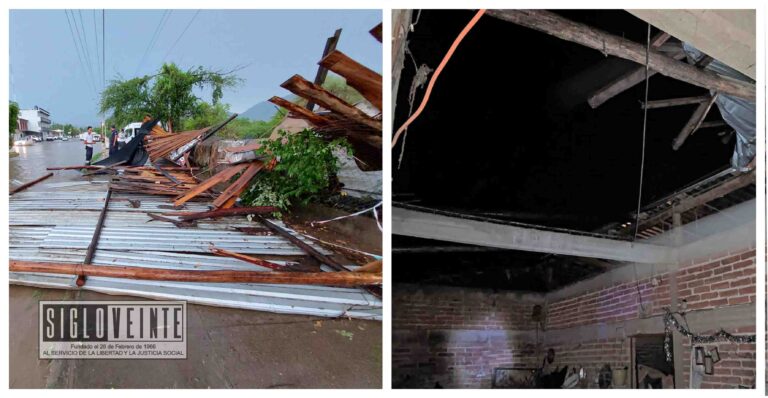 Registra Protección Civil Municipal árboles y techos de lámina caídos tras fuerte lluvia de ayer en Huetamo